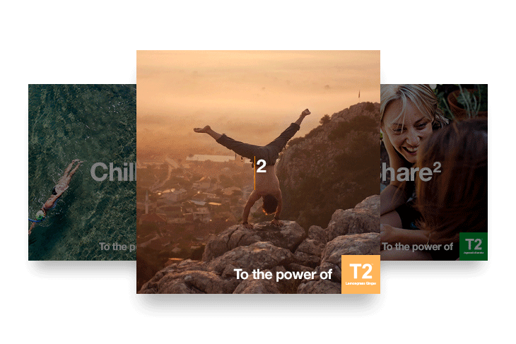 t2